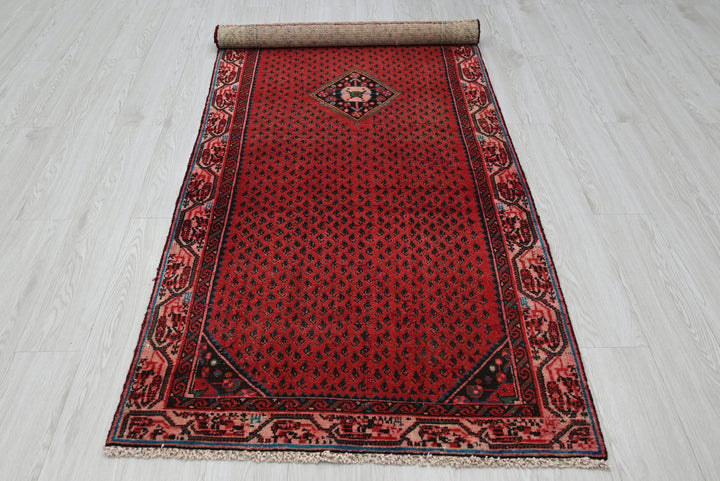 red Runner rug 3' 1" x 9' 2"