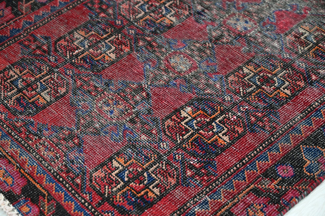 red Runner rug 2' 9" x 12' 4"