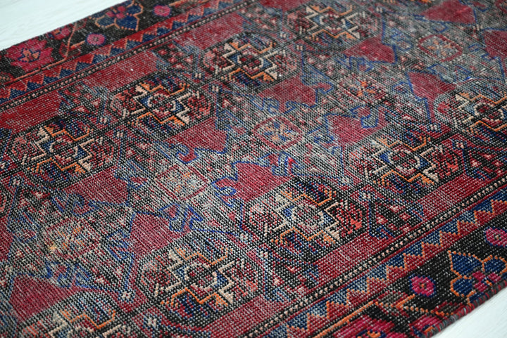 red Runner rug 2' 9" x 12' 4"