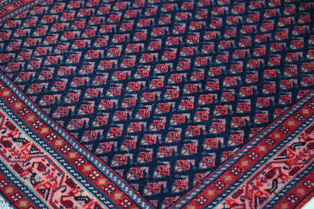 blue Runner rug 3' 2" x 13' 3"