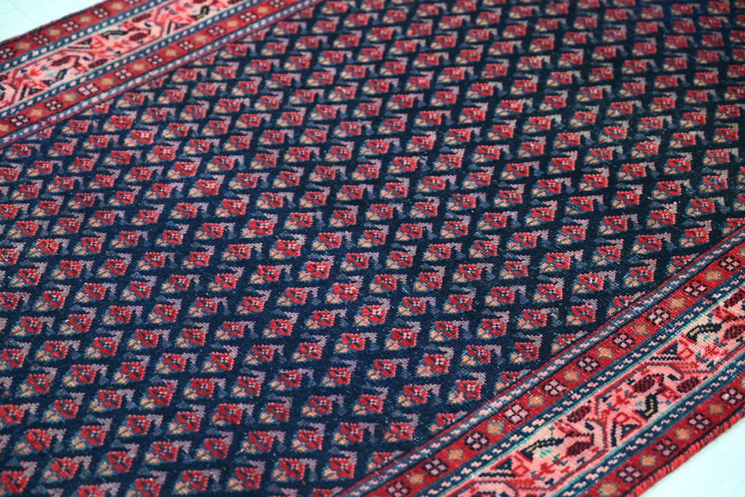 blue Runner rug 3' 2" x 13' 3"