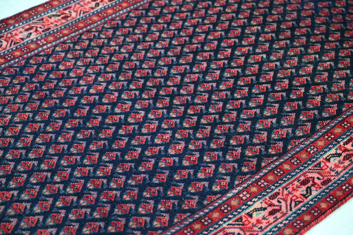 blue Runner rug 3' 2" x 13' 3"