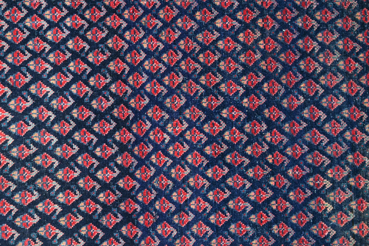 blue Runner rug 3' 2" x 13' 3"
