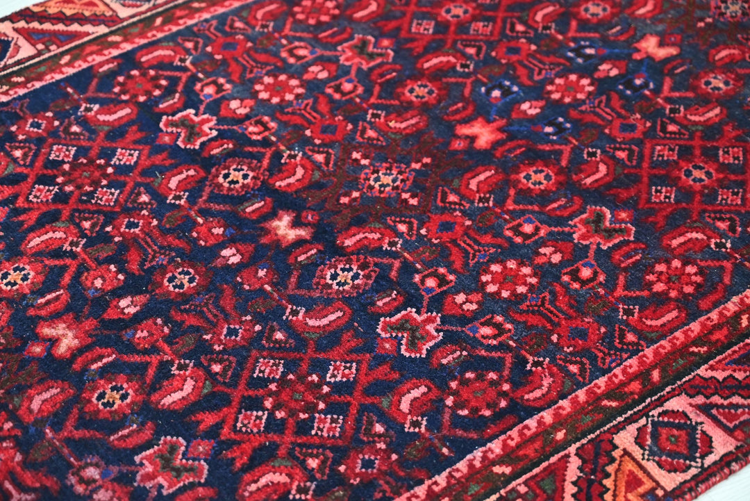 blue Runner rug 3' 3" x 9' 1"