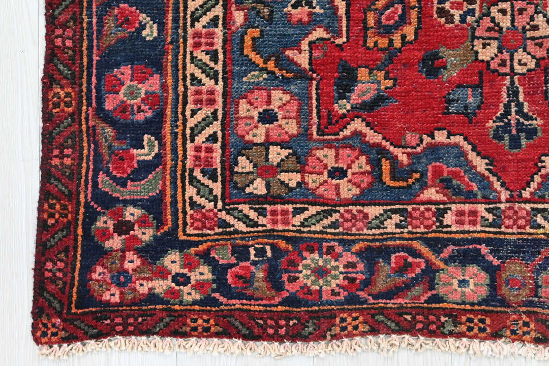 red Runner rug 3' 3" x 11' 10"