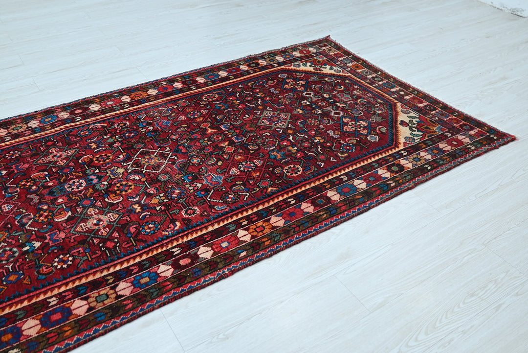 red Runner rug 3' 3" x 11' 9"