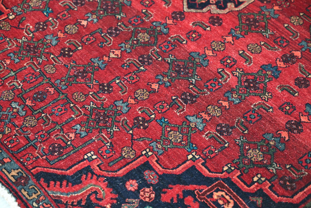 red Medium rug 3' 11" x 8' 9"