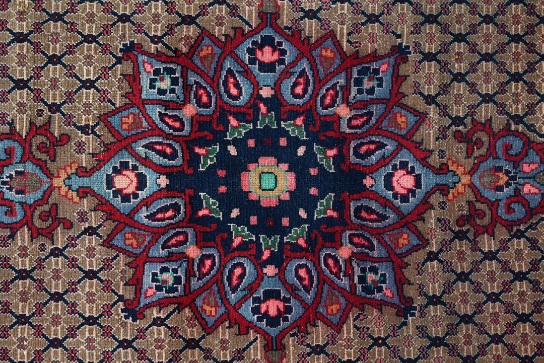 brown Medium rug 3' 9" x 8' 10"