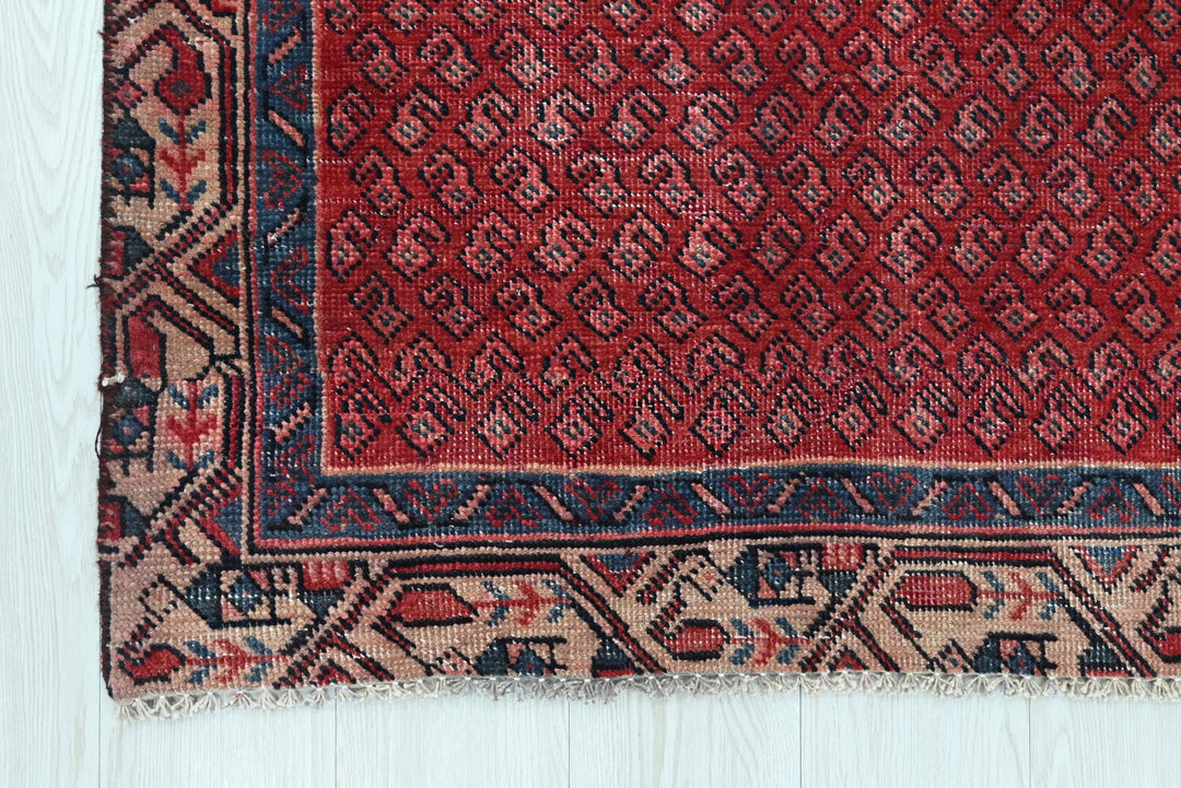 red Runner rug 3' 4" x 9' 0"