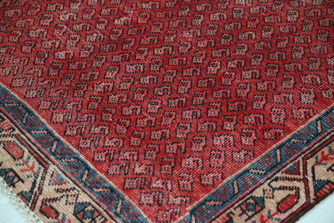red Runner rug 3' 4" x 9' 0"