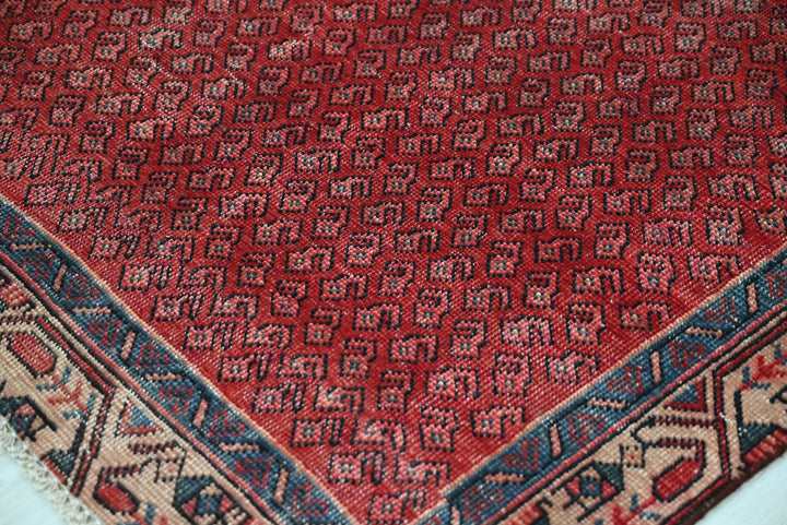 red Runner rug 3' 4" x 9' 0"