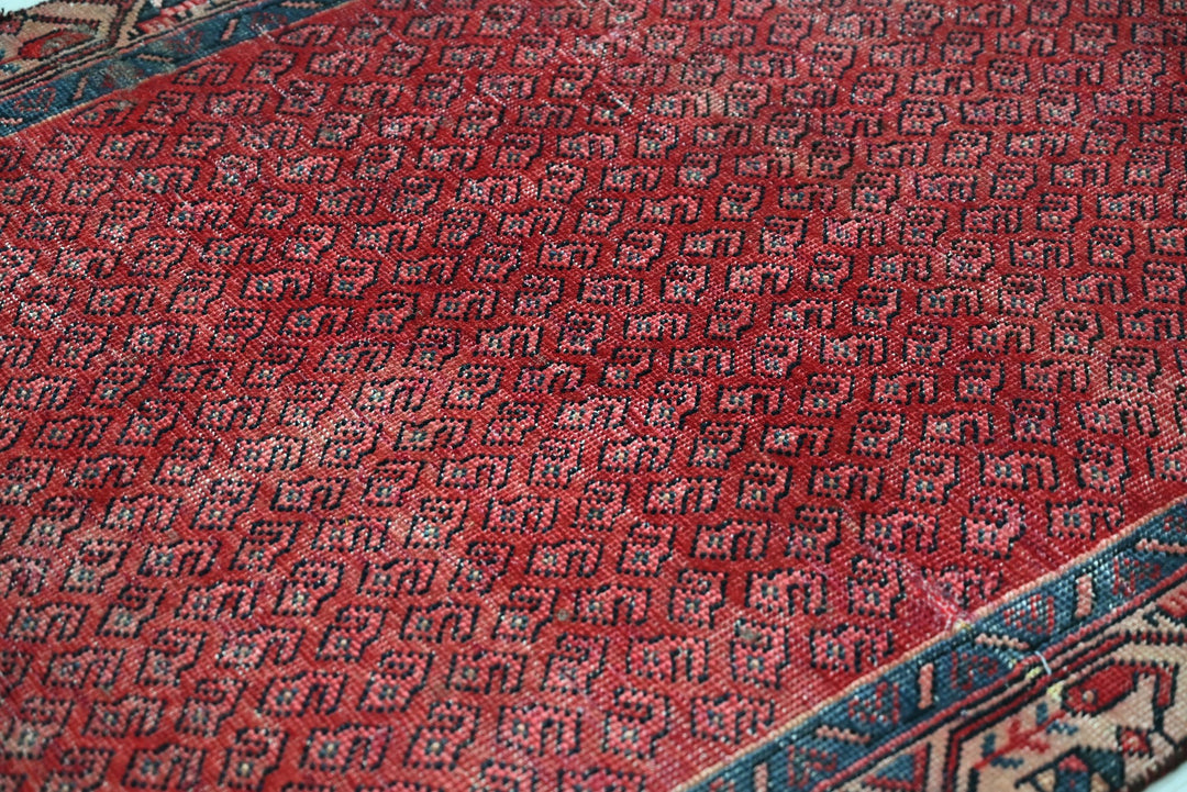 red Runner rug 3' 4" x 9' 0"