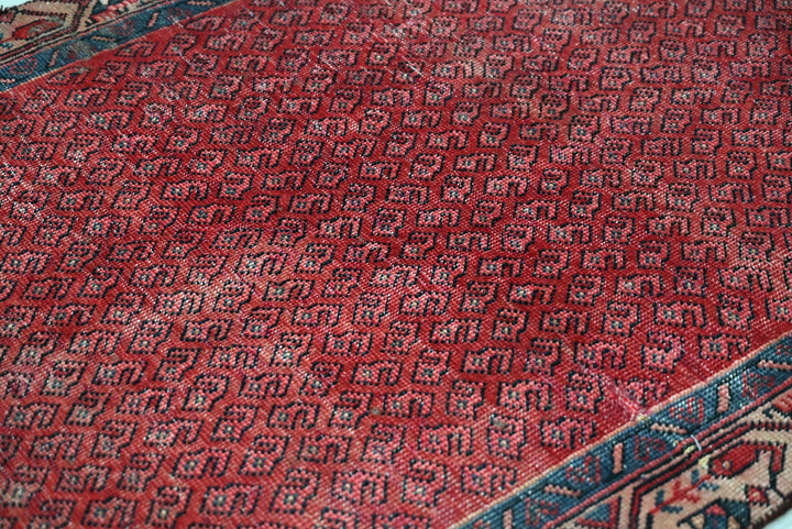 red Runner rug 3' 4" x 9' 0"