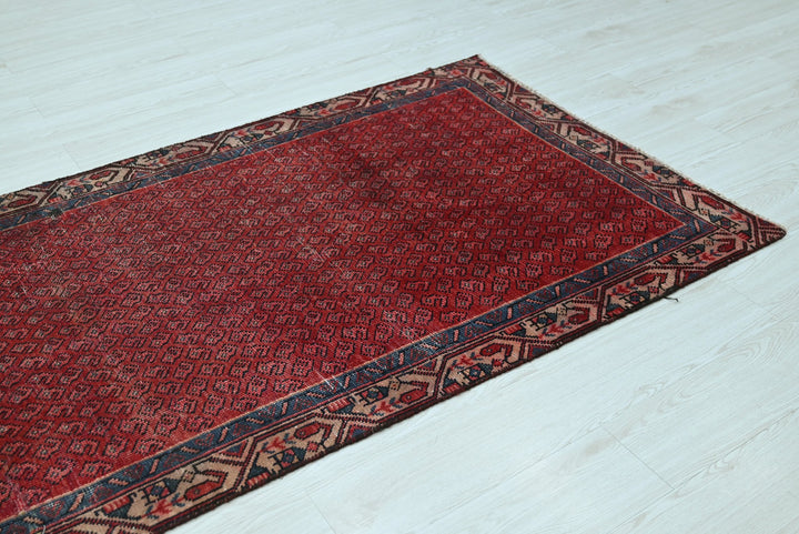 red Runner rug 3' 4" x 9' 0"