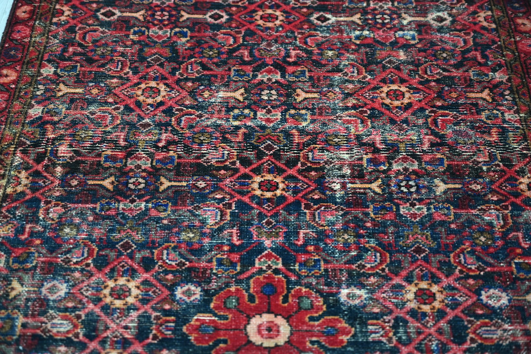 blue Runner rug 3' 5" x 9' 4"