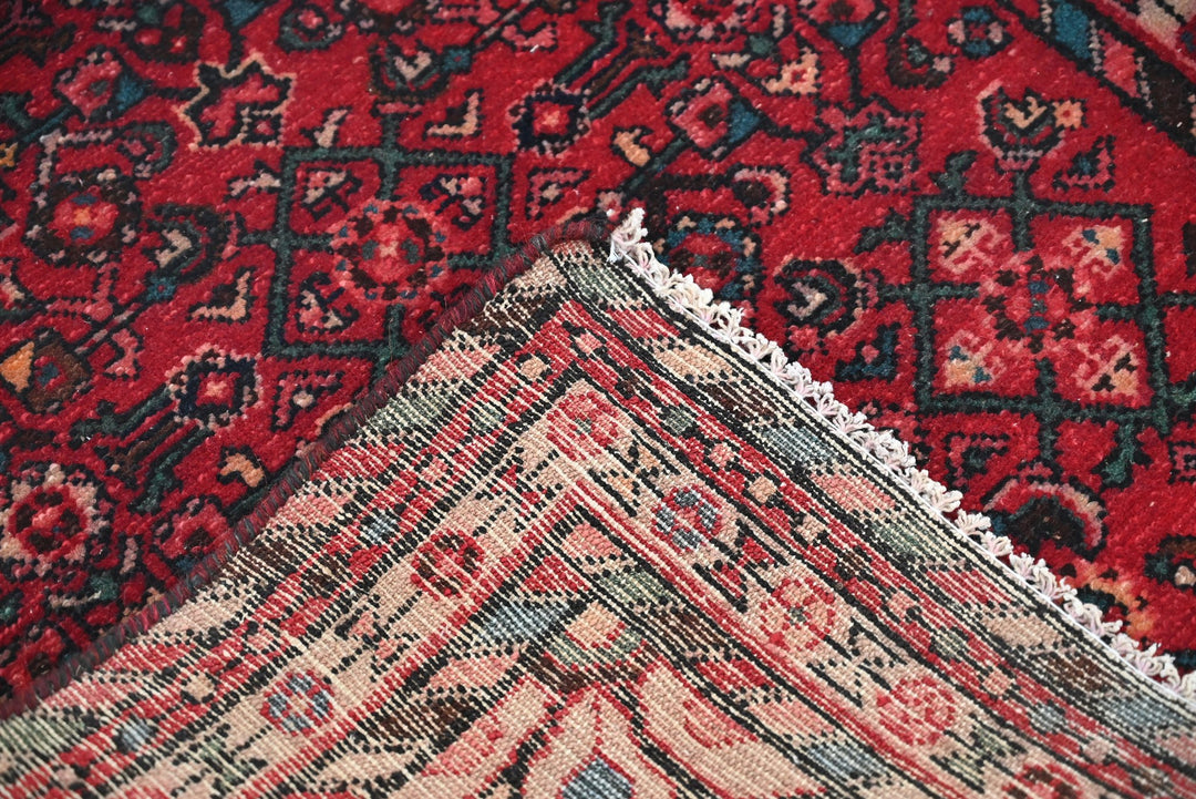 red Runner rug 3' 0" x 8' 11"