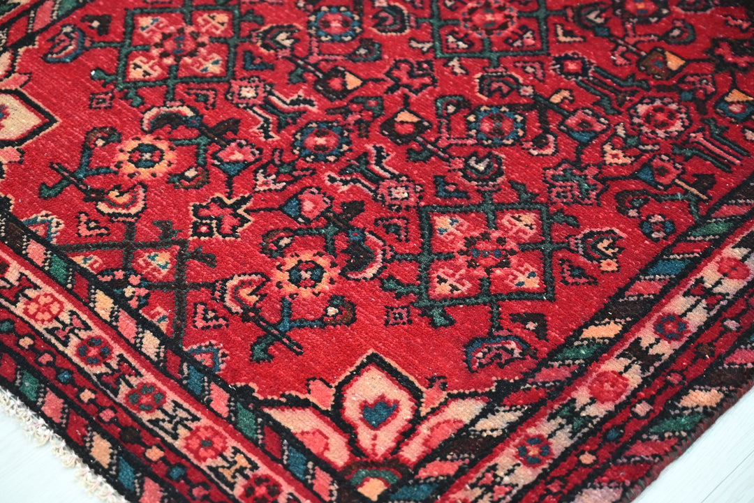 red Runner rug 3' 0" x 8' 11"