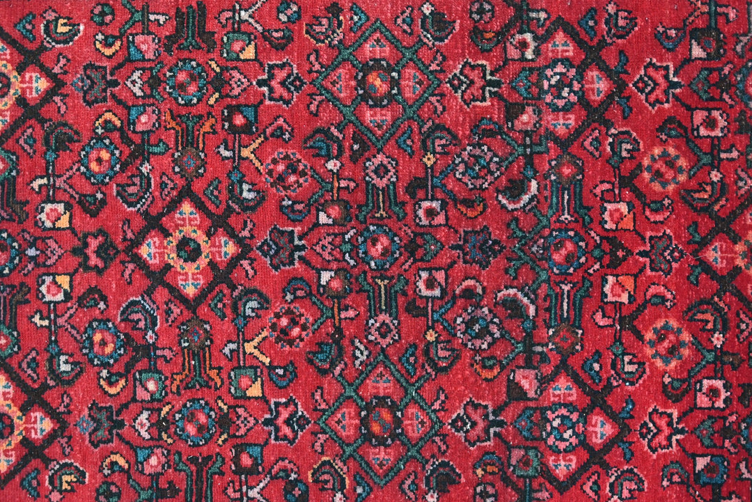 red Runner rug 3' 0" x 8' 11"