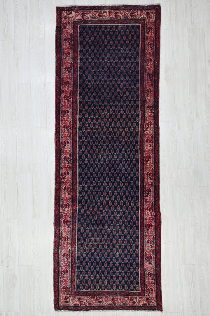 blue Runner rug 3' 2" x 9' 10"