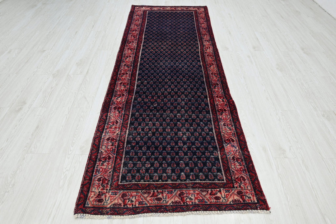 blue Runner rug 3' 2" x 9' 10"