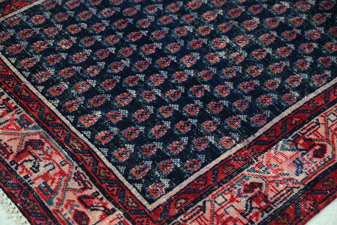 blue Runner rug 3' 2" x 9' 10"
