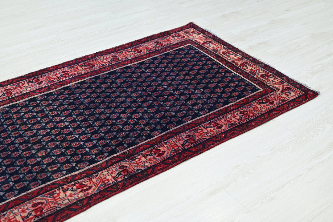blue Runner rug 3' 2" x 9' 10"