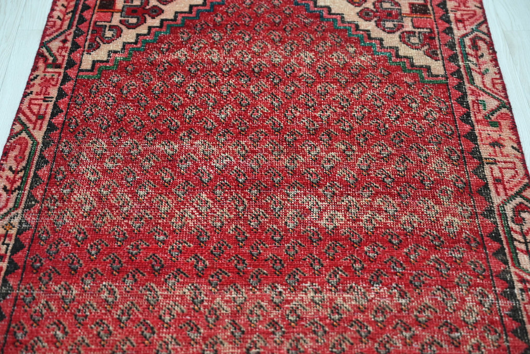 red Runner rug 2' 9" x 9' 5"