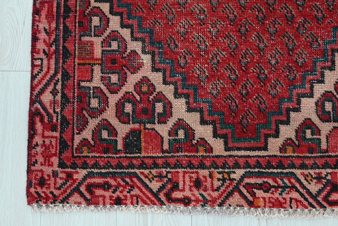 red Runner rug 2' 9" x 9' 5"