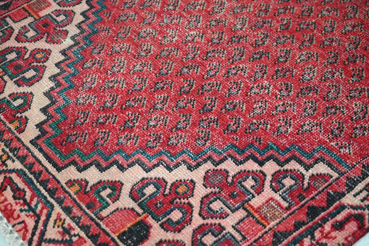 red Runner rug 2' 9" x 9' 5"