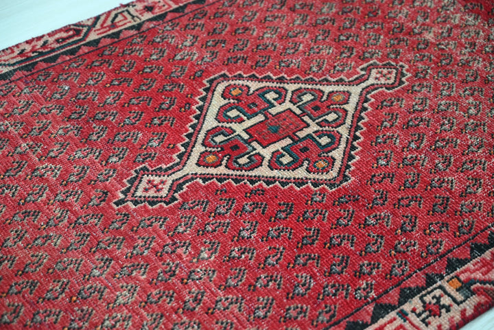 red Runner rug 2' 9" x 9' 5"