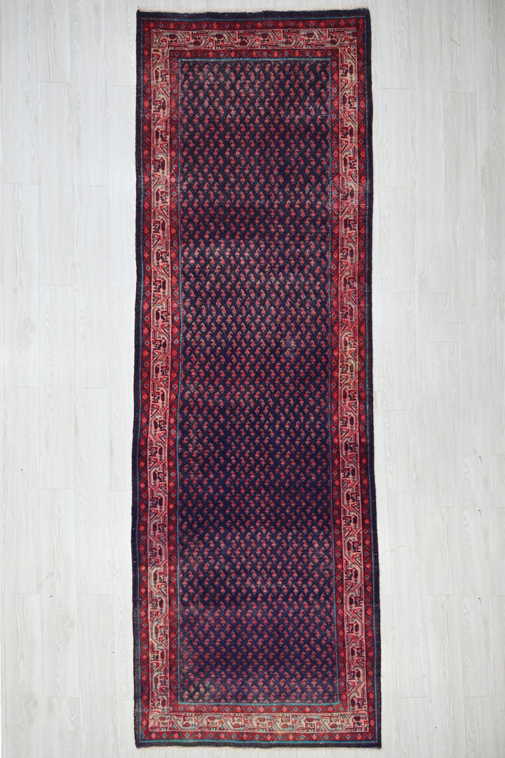 blue Runner rug 3' 5" x 10' 9"
