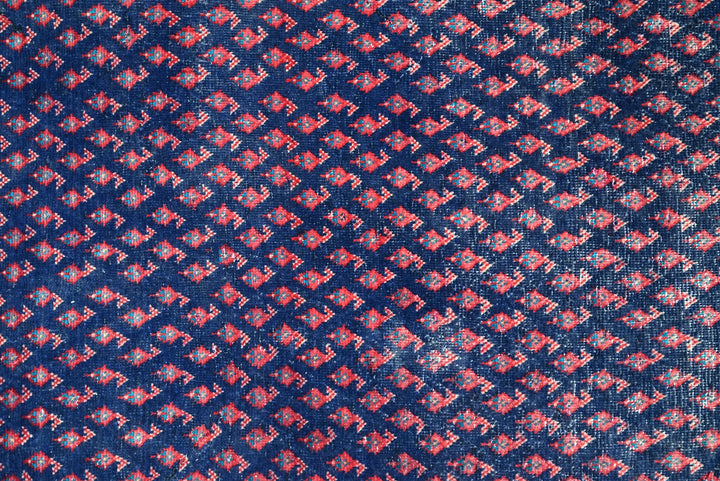 blue Runner rug 3' 5" x 10' 9"