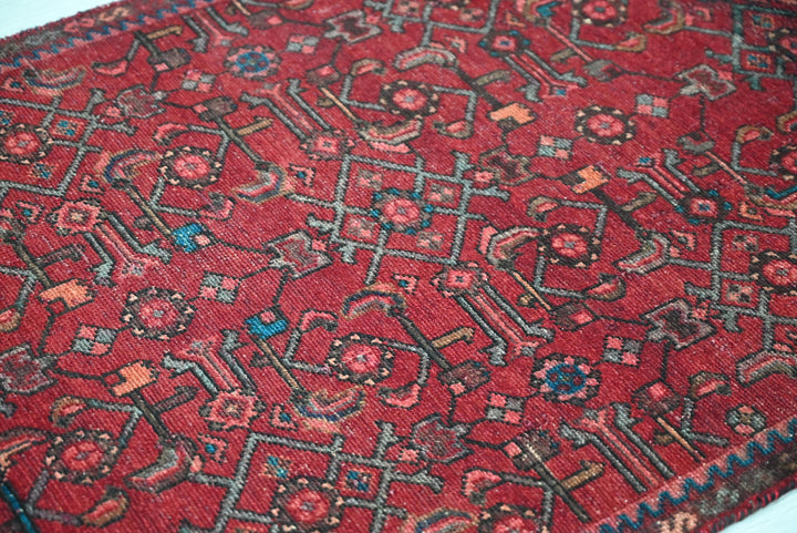 red Runner rug 2' 11" x 8' 11"