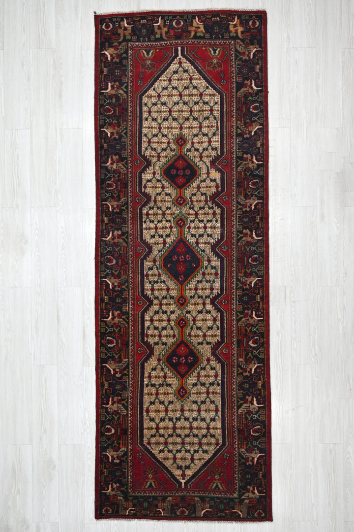 brown Runner rug 3' 3" x 9' 8"