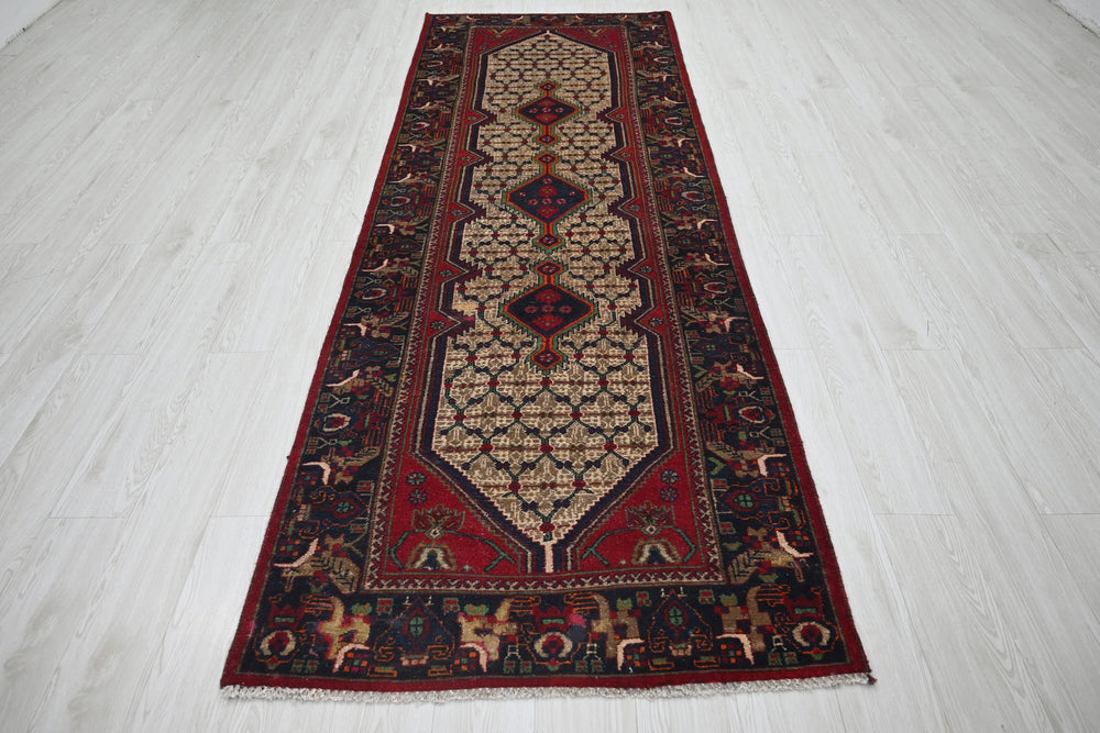 brown Runner rug 3' 3" x 9' 8"