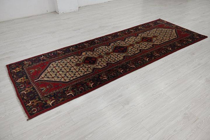 brown Runner rug 3' 3" x 9' 8"