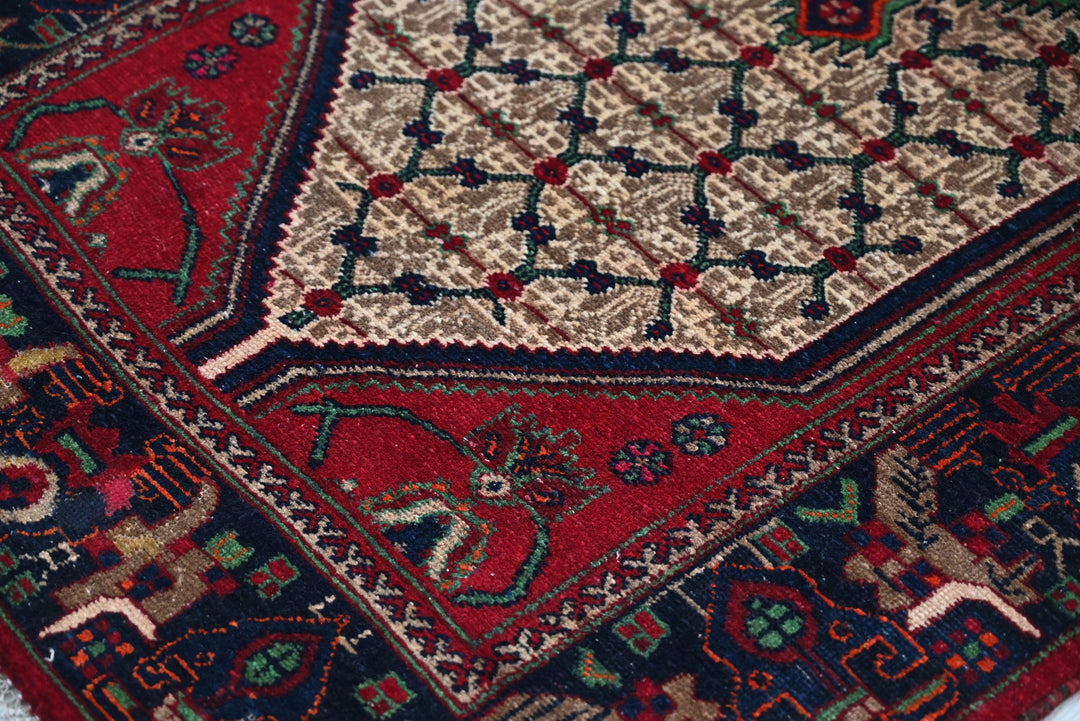 brown Runner rug 3' 3" x 9' 8"