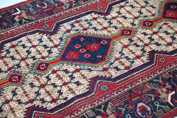 brown Runner rug 3' 3" x 9' 8"