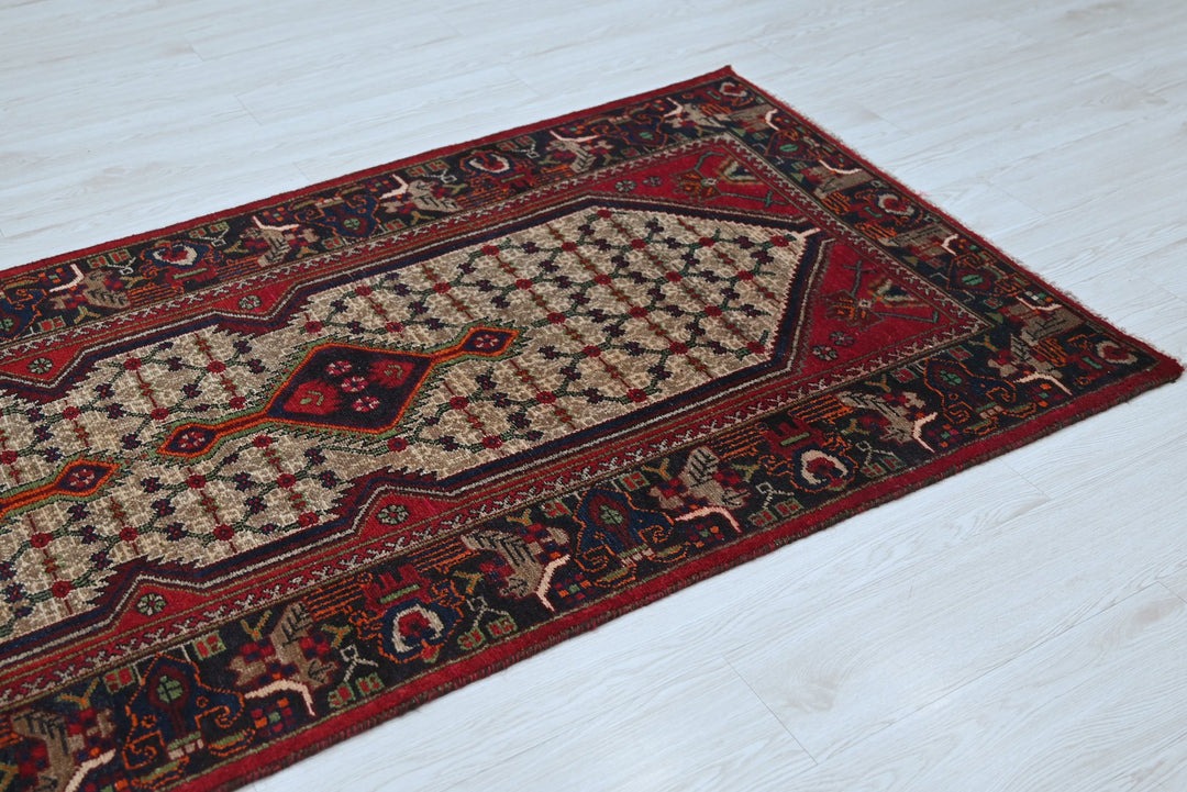 brown Runner rug 3' 3" x 9' 8"