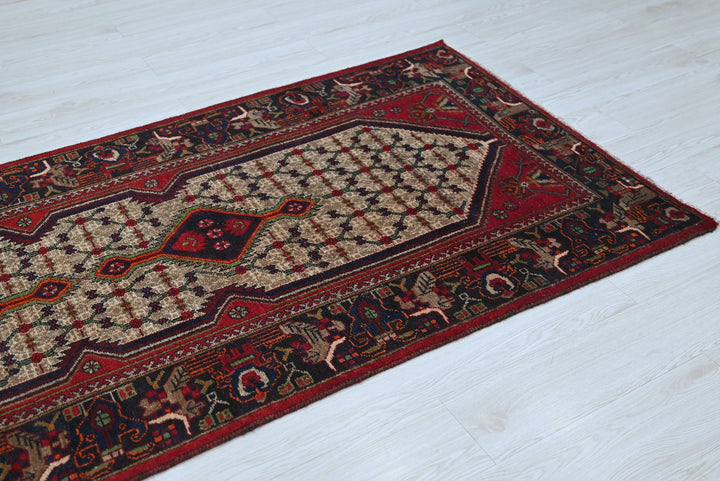 brown Runner rug 3' 3" x 9' 8"