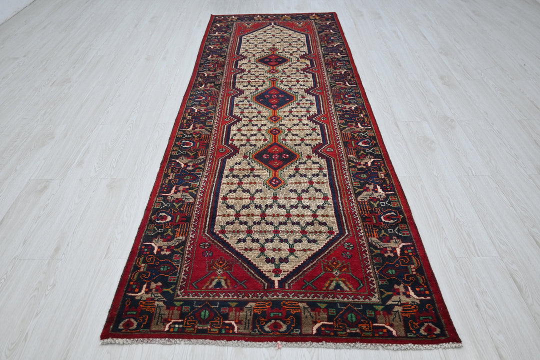 brown Runner rug 3' 3" x 9' 8"
