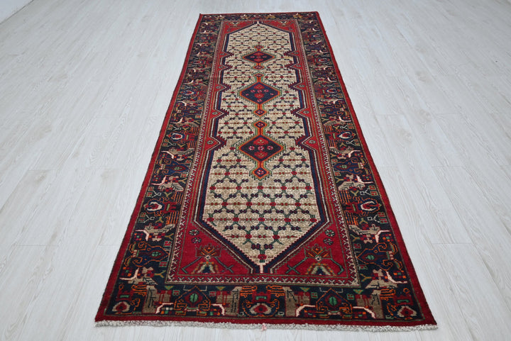 brown Runner rug 3' 3" x 9' 8"