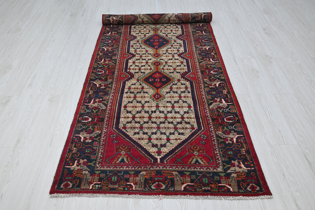 brown Runner rug 3' 3" x 9' 8"