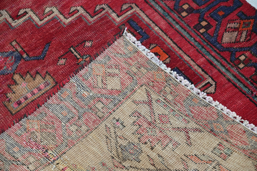 red Runner rug 3' 2" x 10' 0"