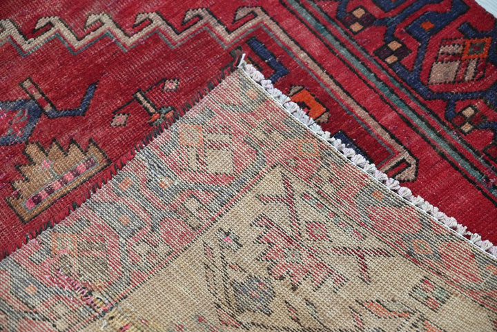 red Runner rug 3' 2" x 10' 0"