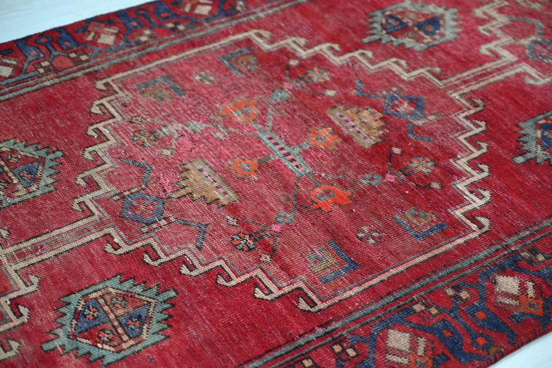 red Runner rug 3' 2" x 10' 0"