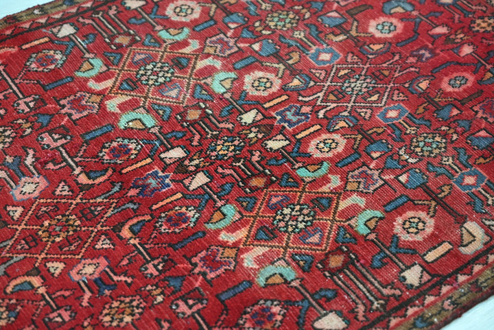 red Runner rug 2' 9" x 8' 0"