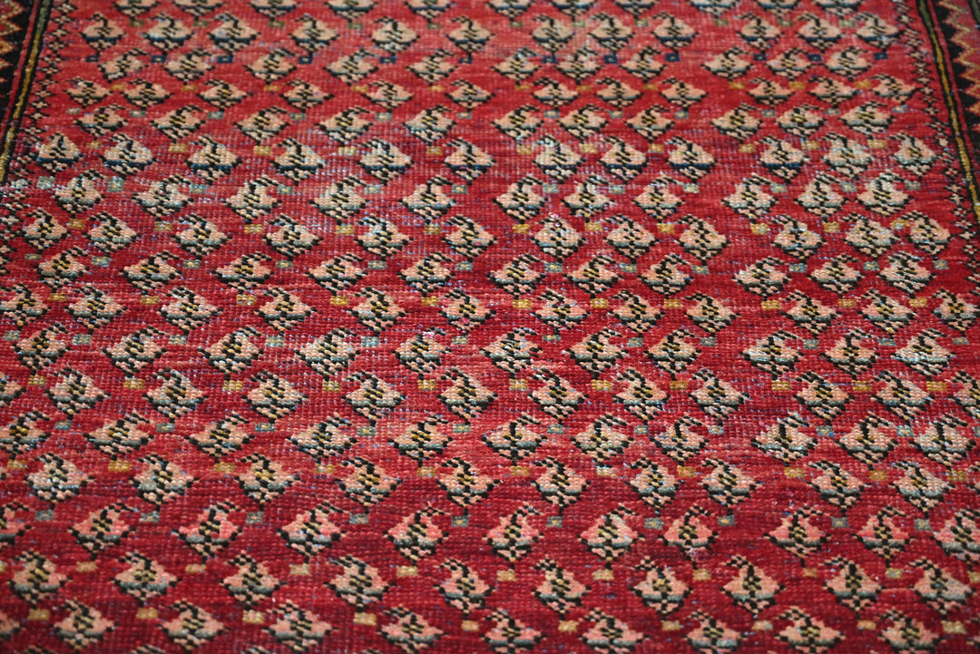 red Accent rug 2' 11" x 5' 11"