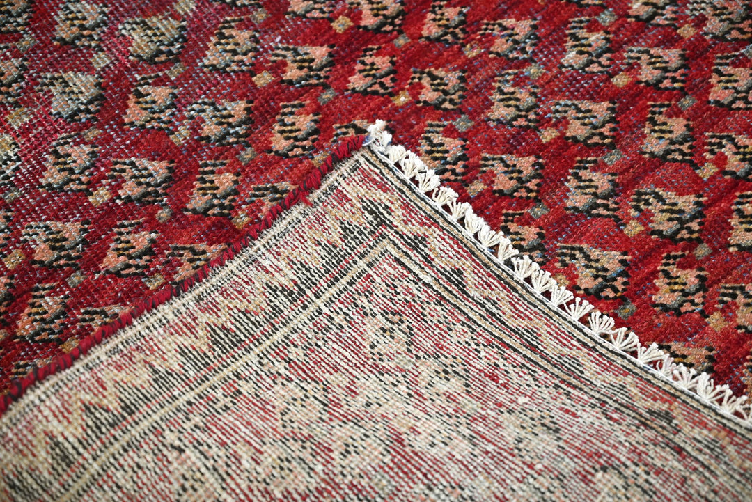 red Accent rug 2' 11" x 5' 11"