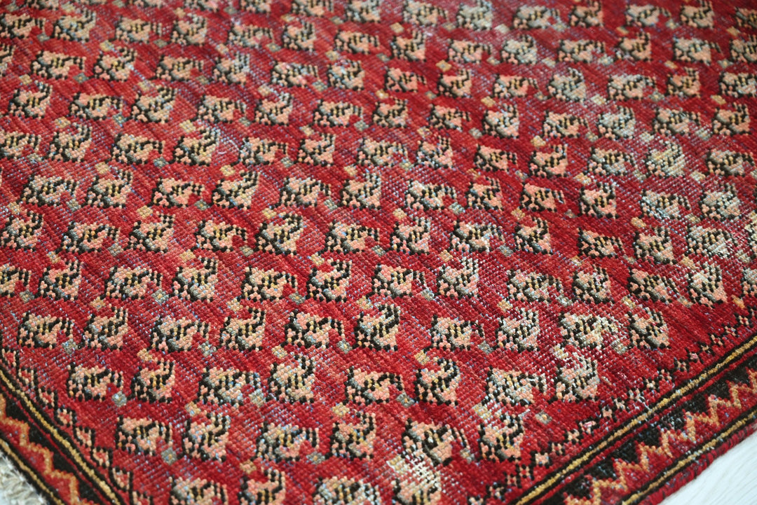 red Accent rug 2' 11" x 5' 11"